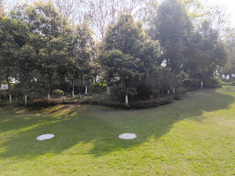 公園草坪綠植