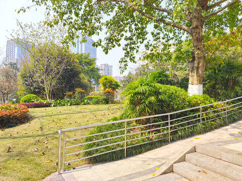 公園草坪綠植