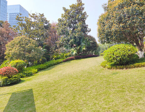 公園草坪綠植