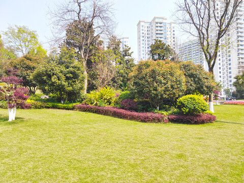公園草坪綠植
