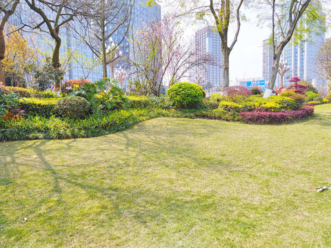 公園草坪綠植
