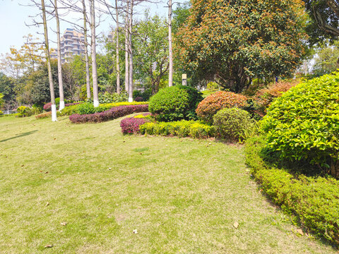 公園草坪綠植