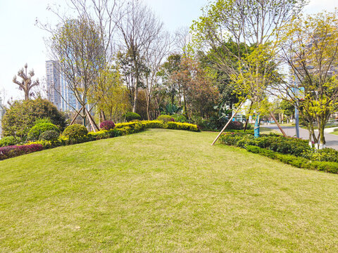公園草坪綠植