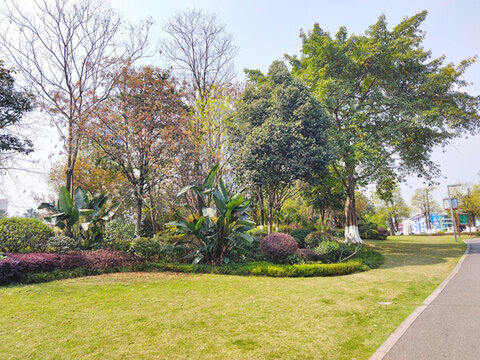 公園草坪綠植