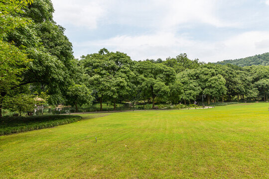 公園草坪與樹木
