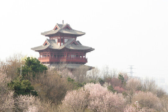 閣樓