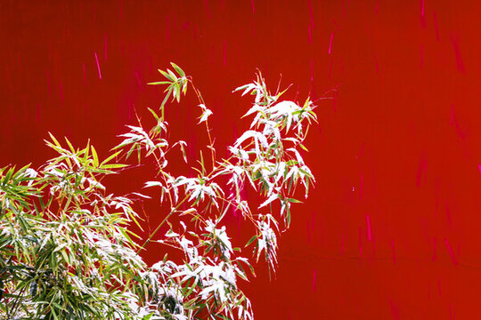故宮紅墻