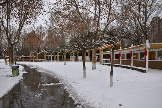 石家莊東環(huán)公園雪景