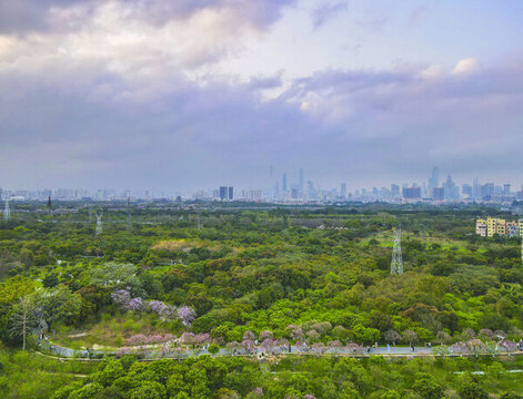 廣州海珠濕地公園