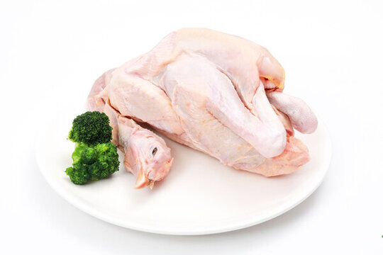 雞肉