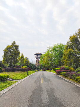公園健身跑道