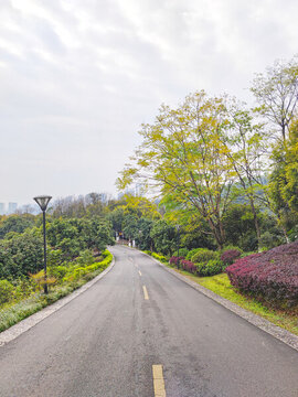 公園健身跑道