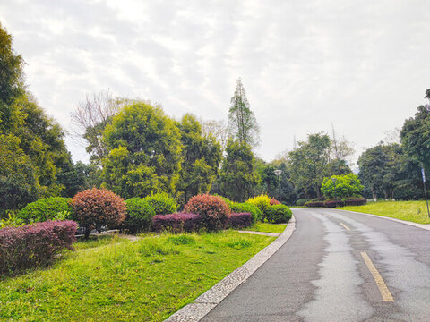 公園健身跑道