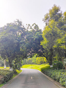 公園健身跑道