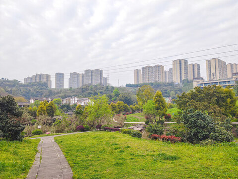 公園石板路
