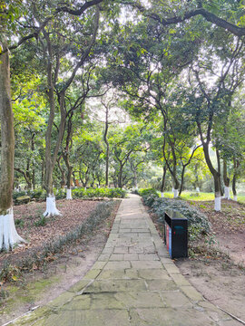 公園石板路