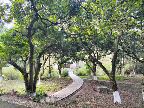 公園石板路