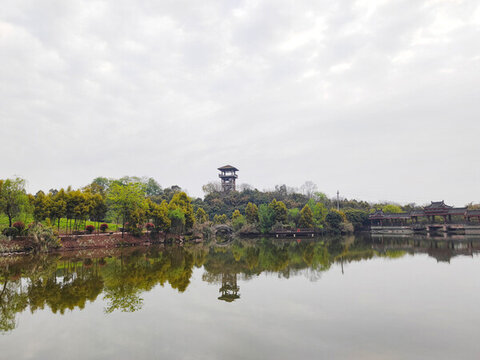 公園小湖