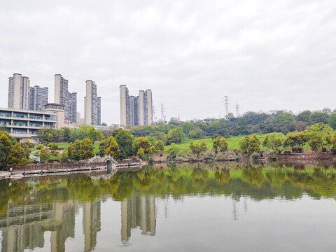 公園小湖