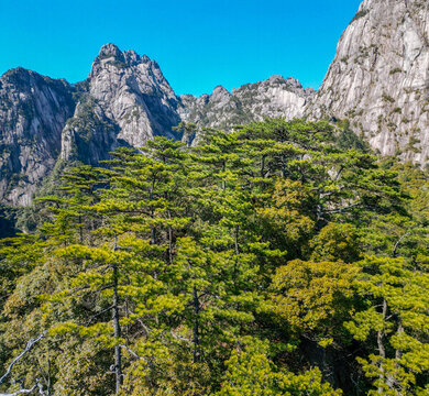 黃山