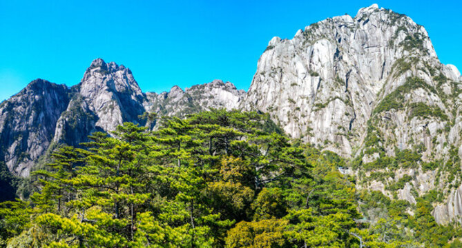 黃山