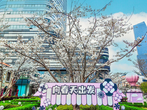 上海长宁来福士春天樱花季风景