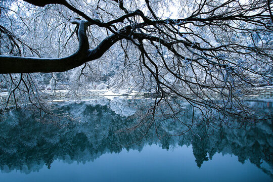 廬山雪景