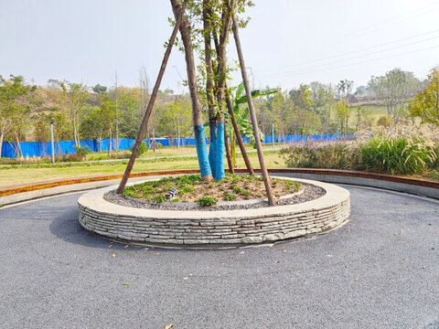 文化磚樹池