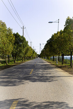 鄉(xiāng)間小路