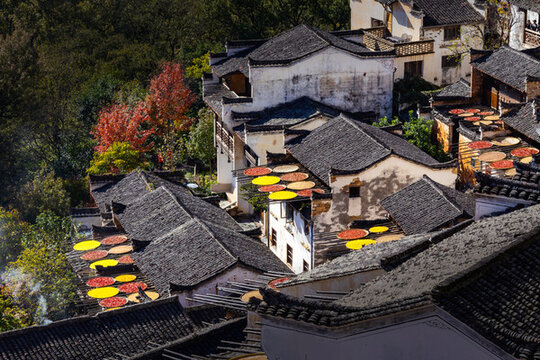 篁嶺