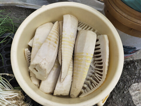 春筍
