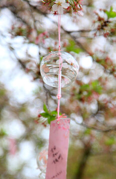 櫻花風(fēng)鈴