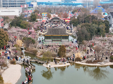 航拍徐州龜山探梅園