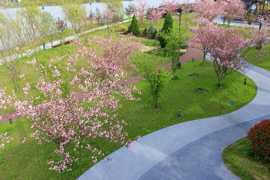 江蘇鹽城中華海棠園