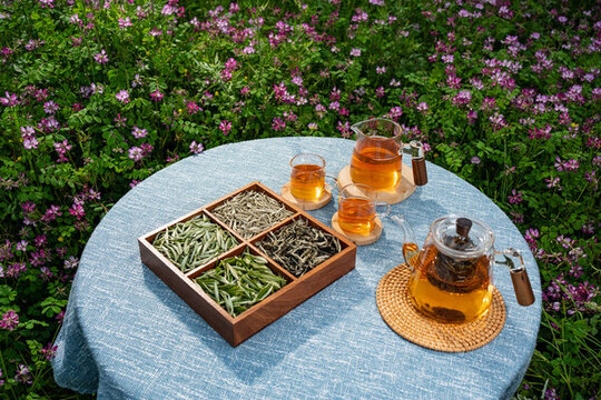 汝城白毛茶