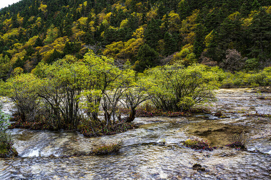 四川黃龍風(fēng)光