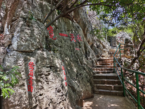 云南撫仙湖山路