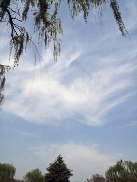 公園春景天空