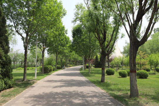 公園小路