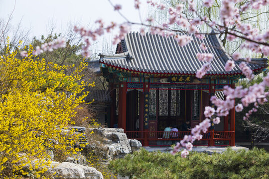 桃花