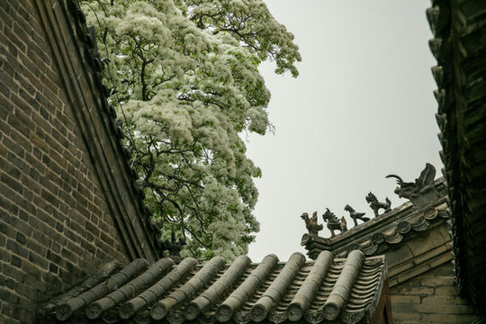 鄒城孟府流蘇
