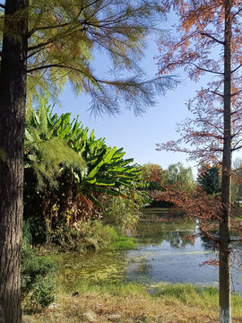 公園風(fēng)景