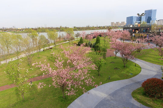 鹽城中華海棠園