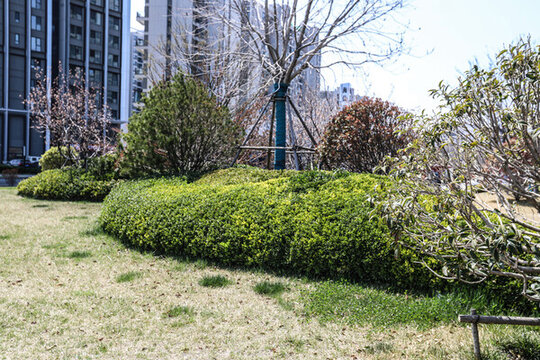 小區(qū)花壇