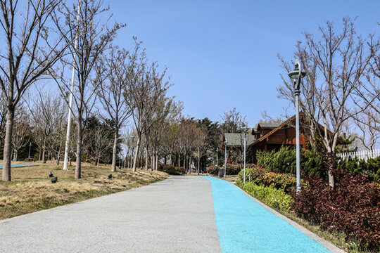 金線頂公園步道