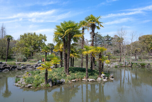 上海植物園