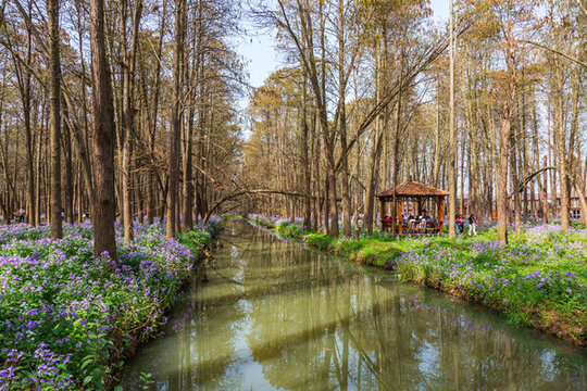 江蘇泰州李中水上森林公園