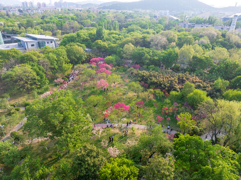 濟(jì)南泉城公園春暖花開(kāi)38