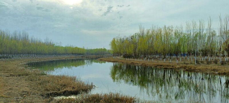 春天河邊綠樹(shù)倒映天色
