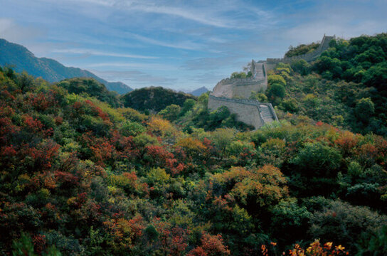 北京八達(dá)嶺長城紅葉